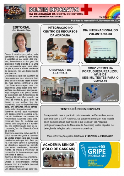 Boletim Informativo 67, Novembro de 2020
